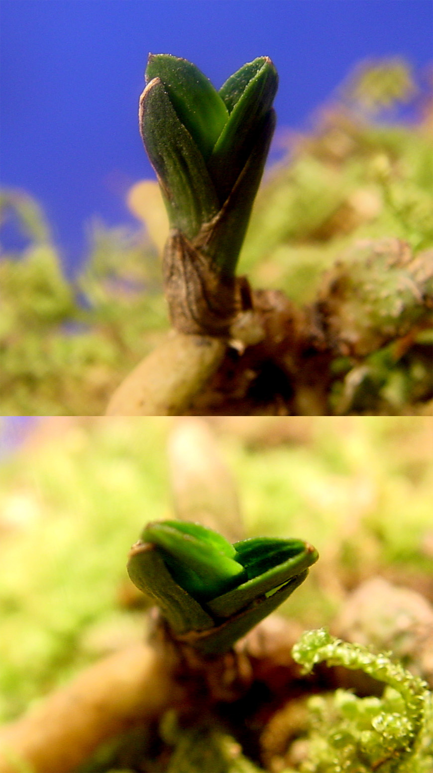  ū   ֽϴ.