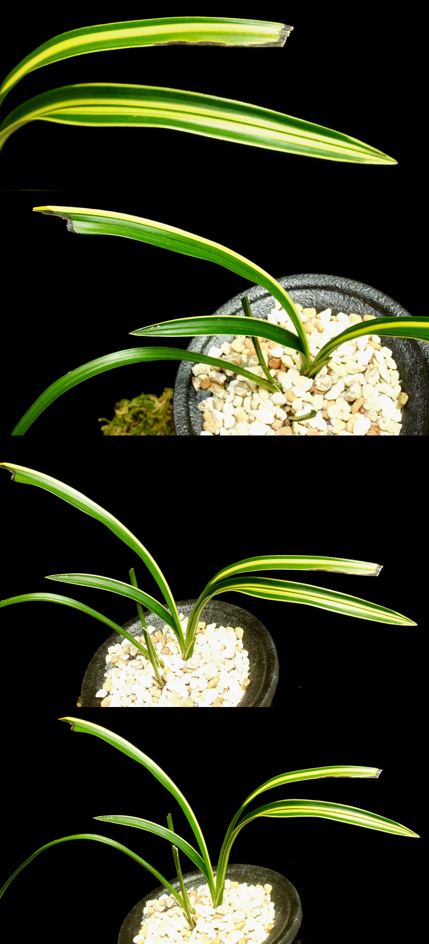  ū   ֽϴ.
