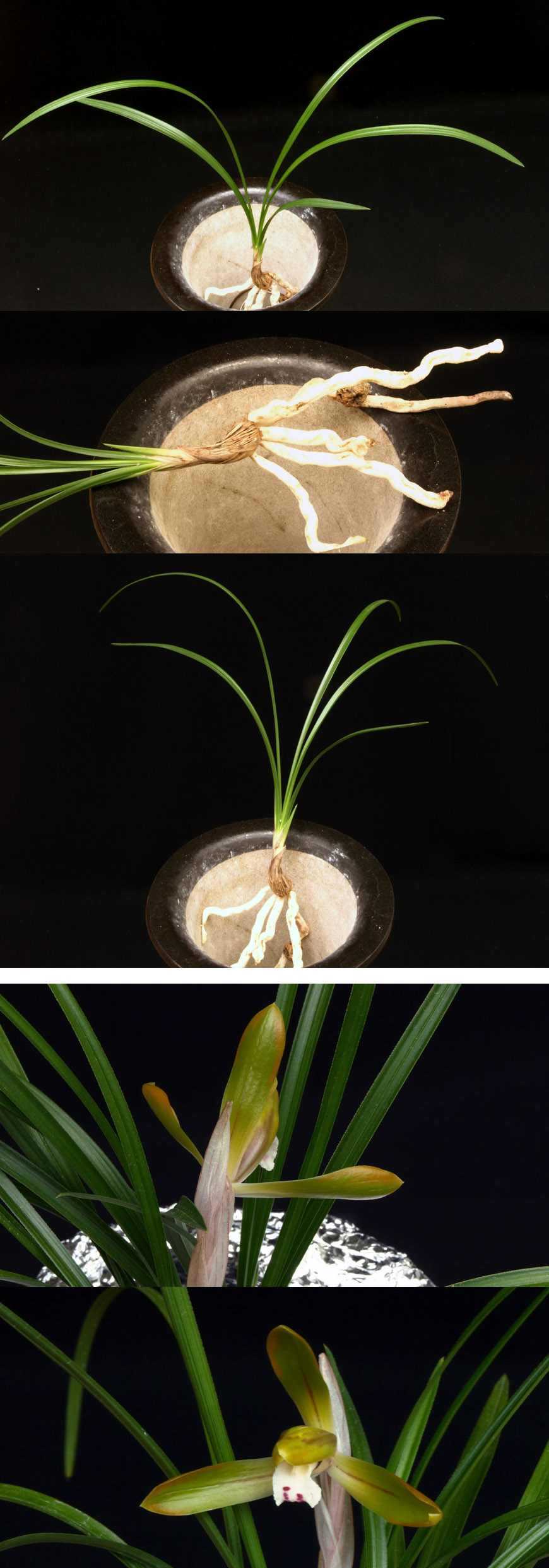  ū   ֽϴ.