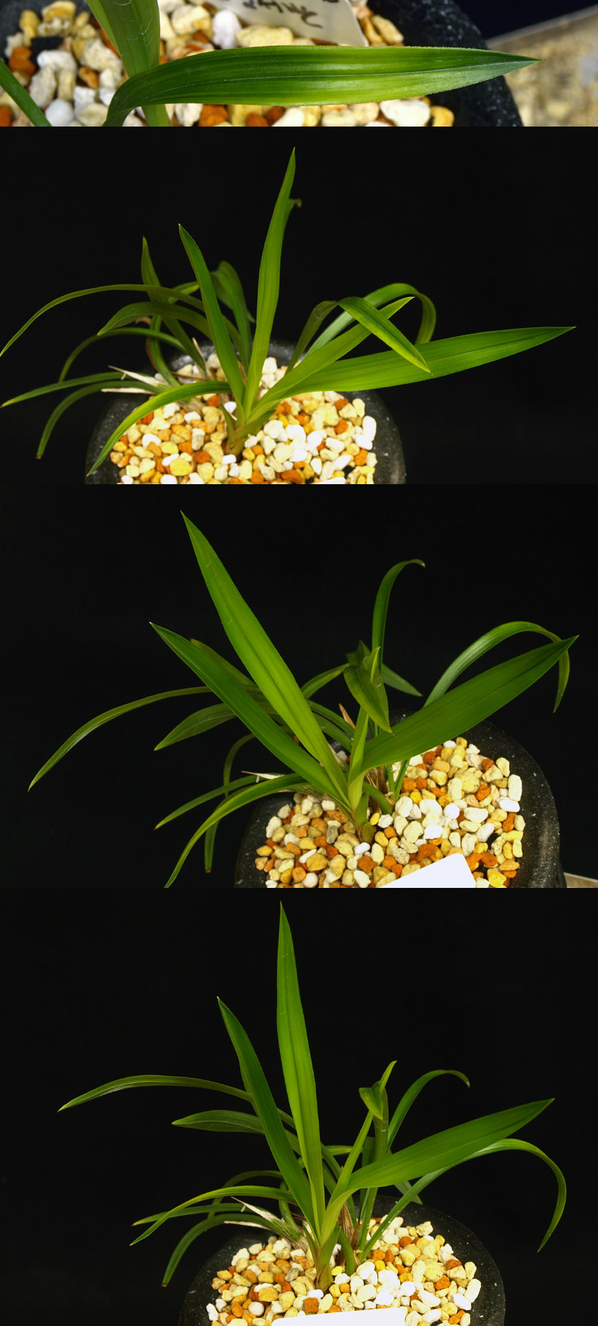  ū   ֽϴ.