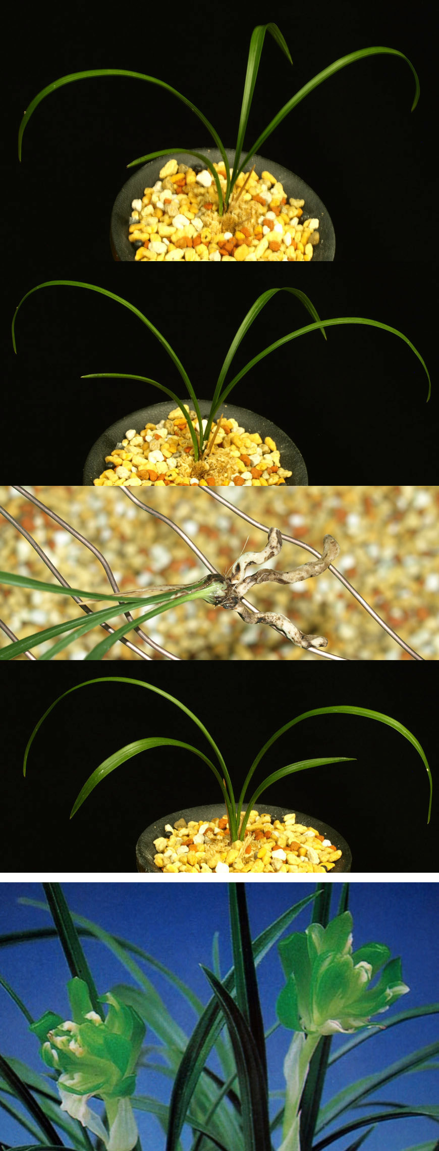  ū   ֽϴ.