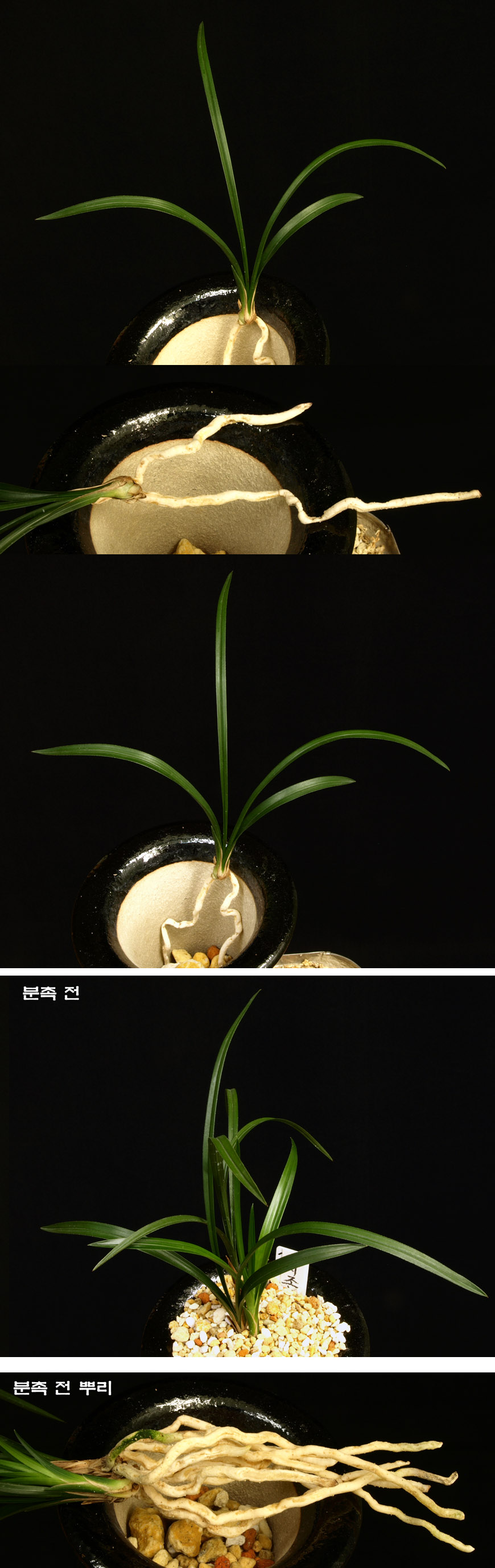  ū   ֽϴ.